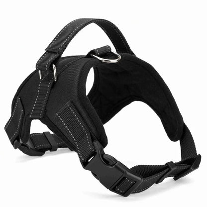 S4e7878d1c4c54372872f14360fdd819el - bestdoggylife.shop