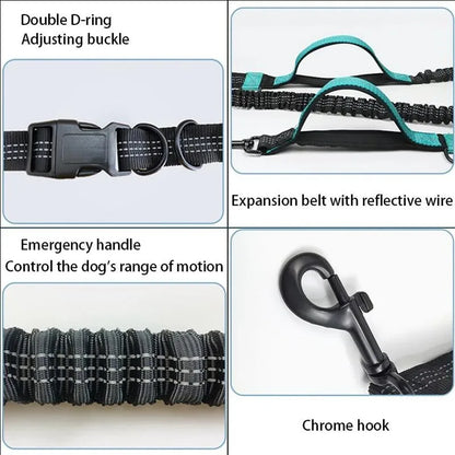 S5044e00afd274aa9824606a162a14a75V - bestdoggylife.shop