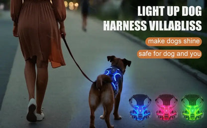 LED dog harness for night walking glowing luminous dog vest with three LED light modes for safe nighttime walks