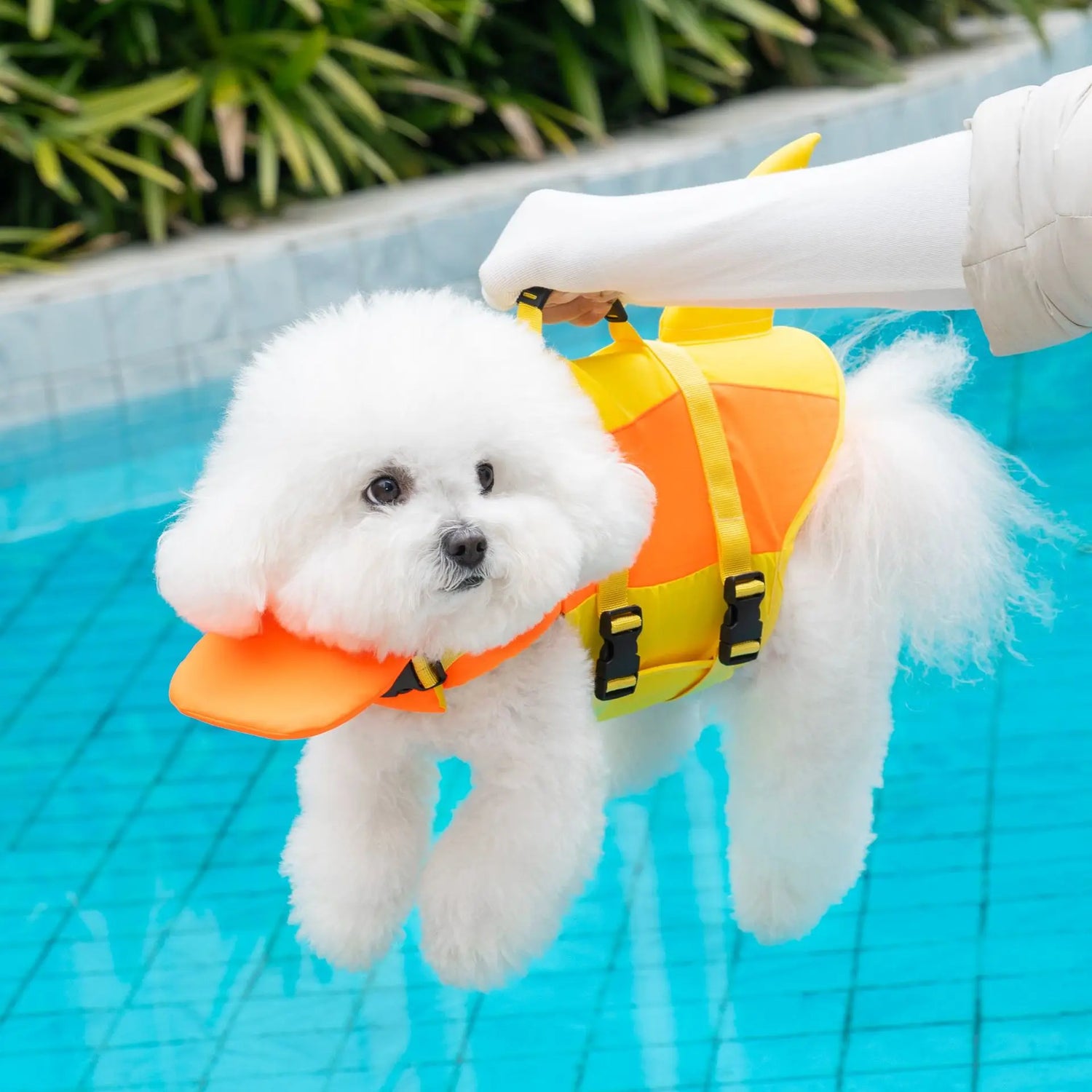 Dog life jacket for small dogs, breathable waterproof swim vest with reflective straps and handle in pool