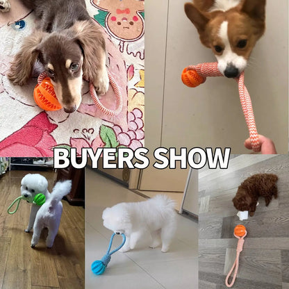 S515e5b22d75d4d4287259ba9e1666d6cT_d7e8f2b0-77db-4446-9930-2cc5454b4b79 - bestdoggylife.shop