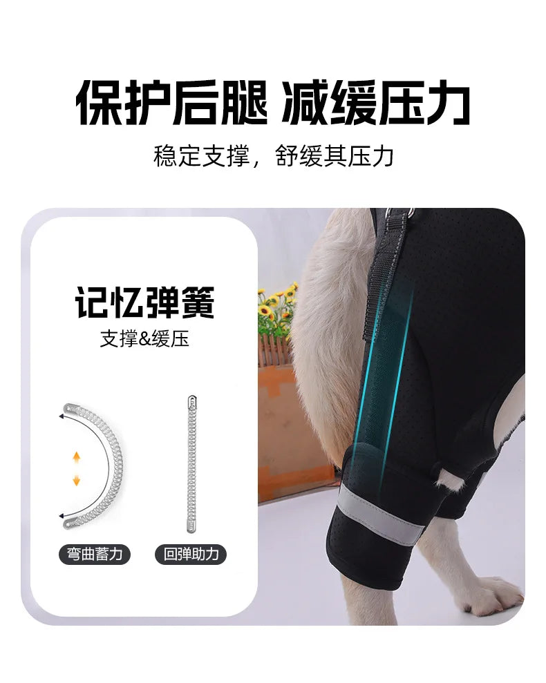 S520a6ba8d82f453090125f967f00b12eZ - bestdoggylife.shop