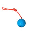 Blue rubber dog ball toy with red rope for fetch and tug play, isolated on white background.