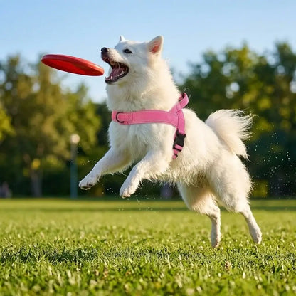 no-pull dog harness for large dogs pink adjustable padded harness on white dog playing fetch with frisbee