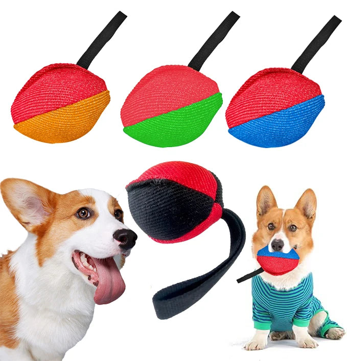 Colorful dog fetch balls with handles and corgi playing, interactive pet toy for dogs