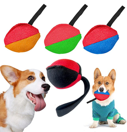 Colorful dog fetch balls with handles and corgi playing, interactive pet toy for dogs