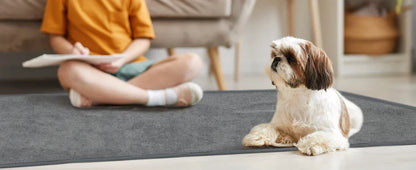 washable dog pee pad for puppy training, super absorbent waterproof floor mat for crates and playpens