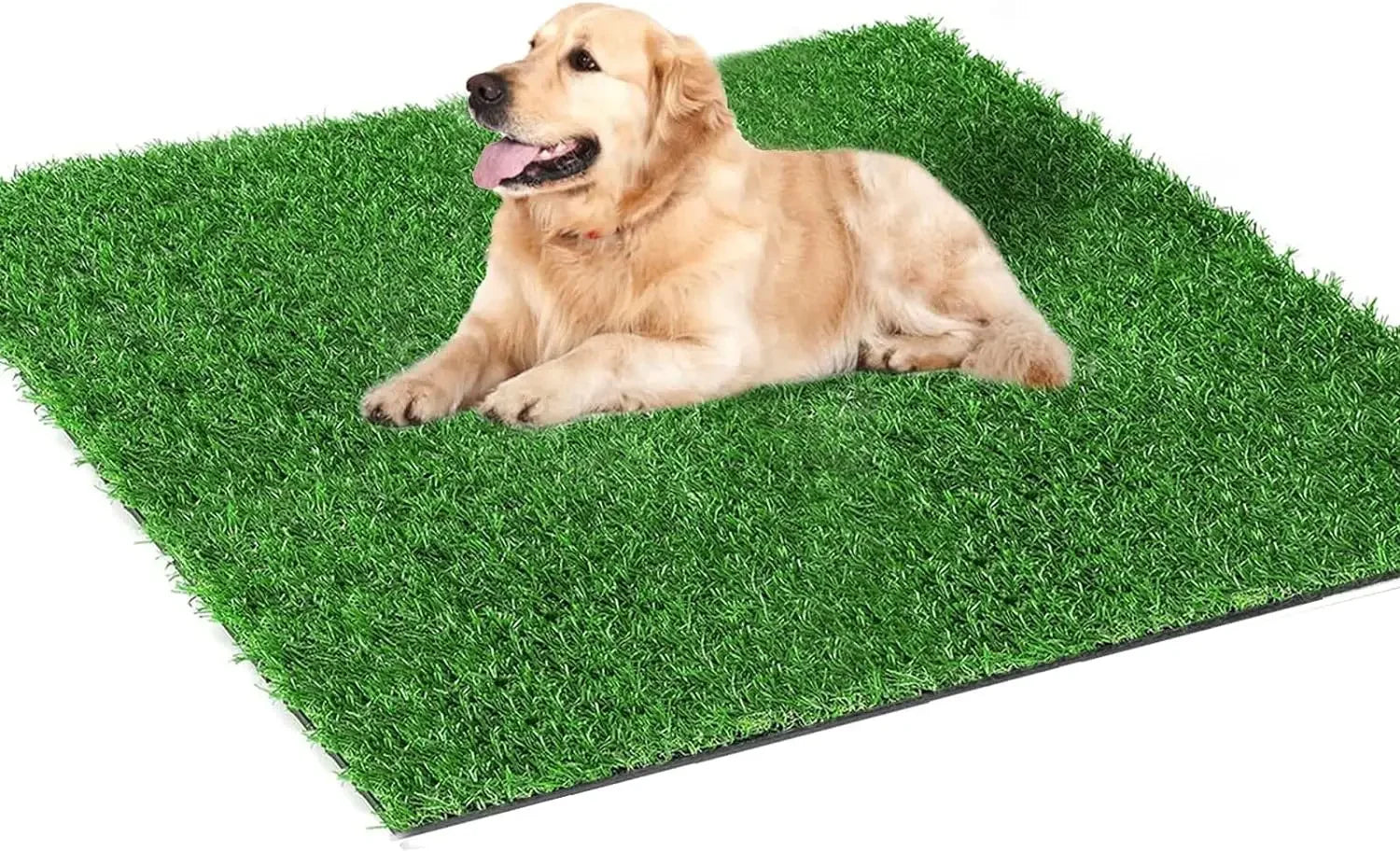 S543ec7d008c041b4a6010230b7cfe05a3 - bestdoggylife.shop