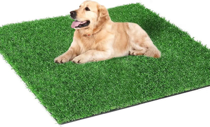 S543ec7d008c041b4a6010230b7cfe05a3 - bestdoggylife.shop