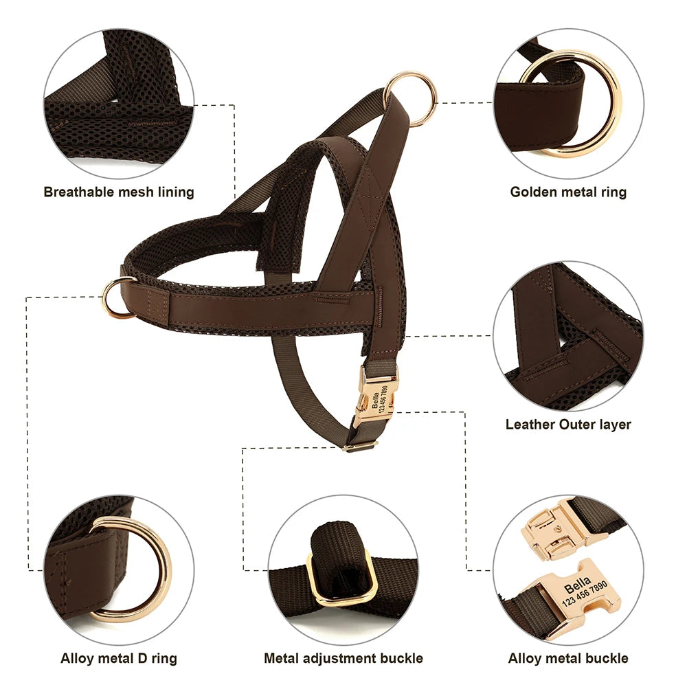 personalized no pull dog harness leash set with breathable mesh, leather outer layer, and gold metal rings for dogs