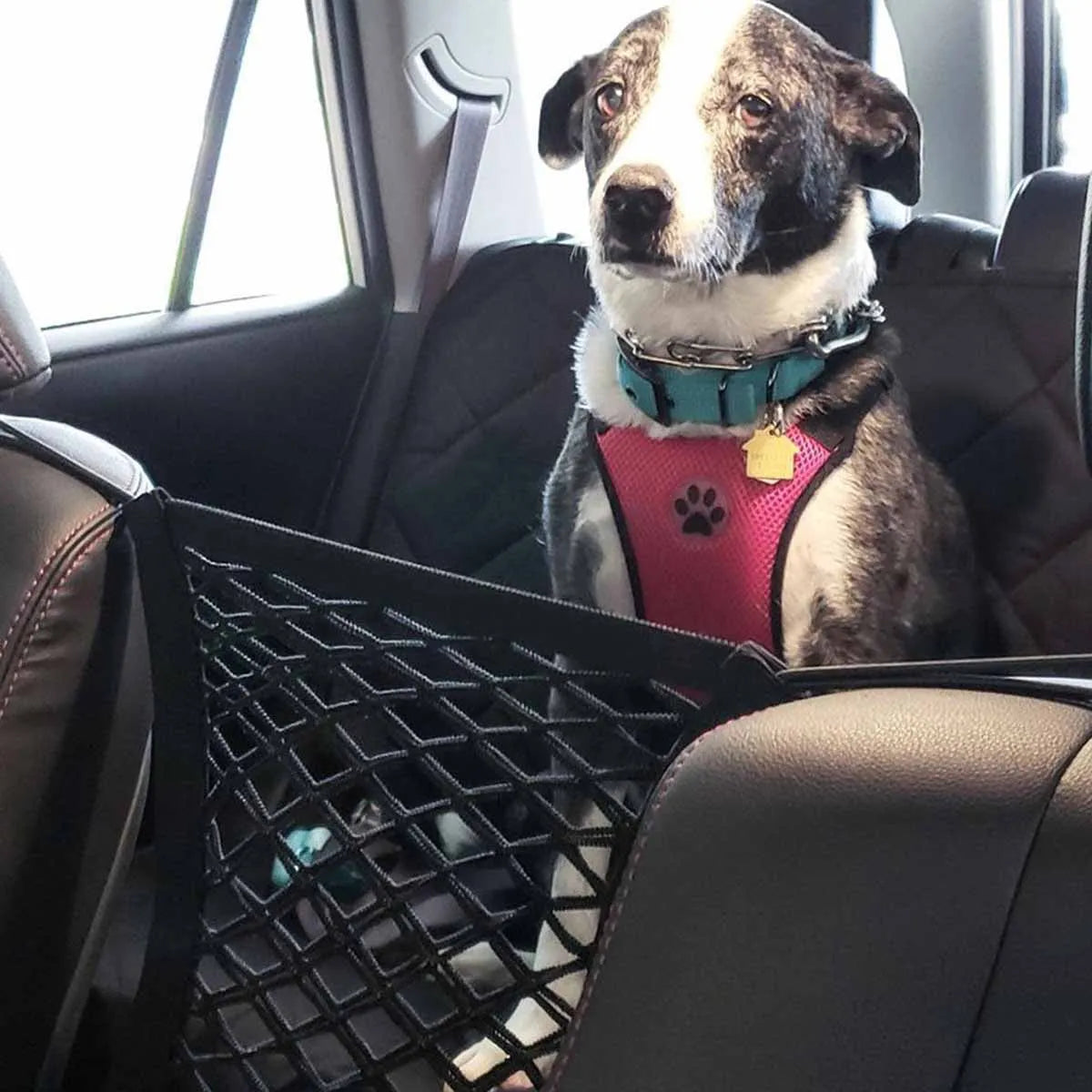Pet Dog Rear Seat Car Fence Dog Isolation Protection Net Elastic Double Layer Storage Separation Net Pet Safety Rail Pet Suppliy.
