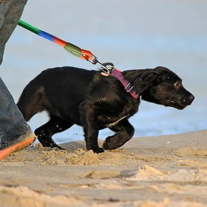 S549b54a70b3b4d2e9745b24472a5a9bfo - bestdoggylife.shop