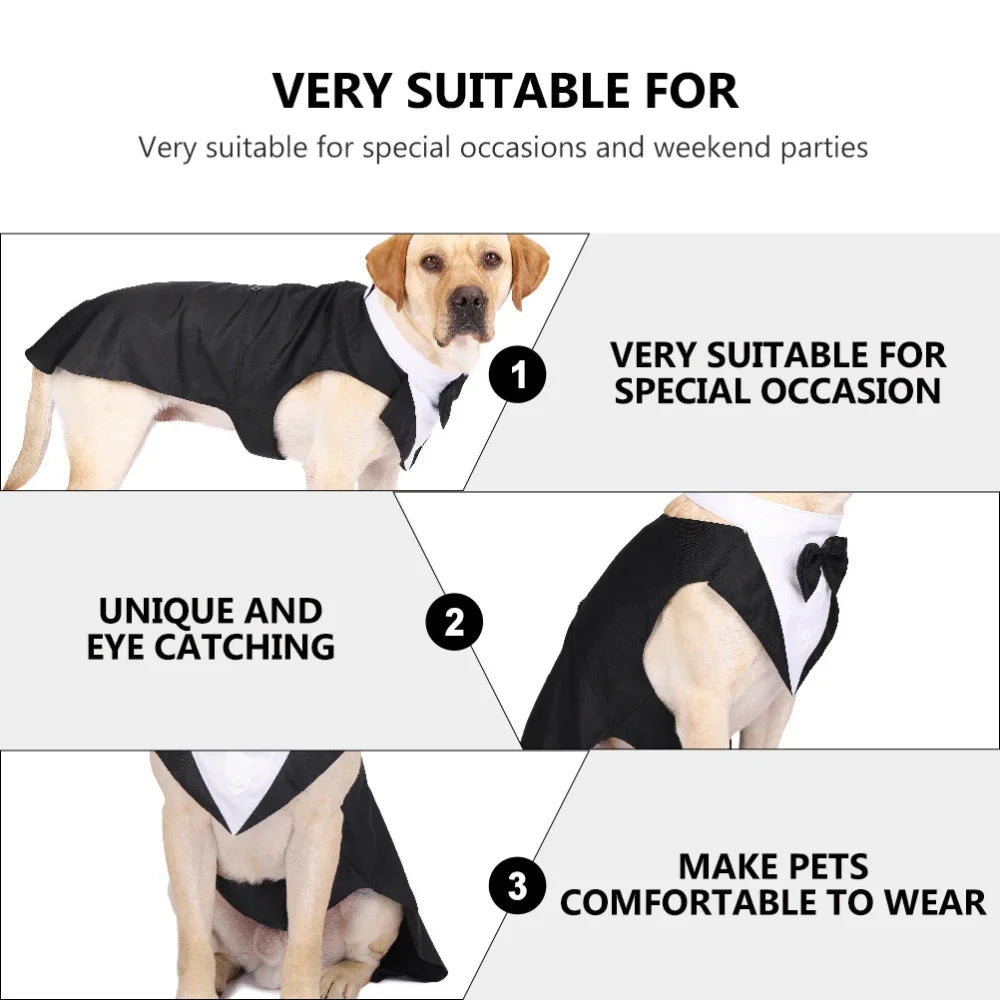 S54b2415d17b44bed933a729aa9943883e - bestdoggylife.shop