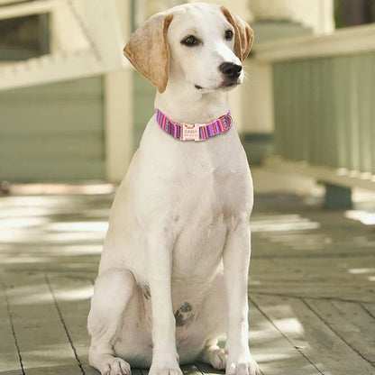 Pet Dog Collar Nylon Personalized Necklace Dog Supplies Free Engraving Name for Small Medium Large Dogs Adjustable Dog Collars