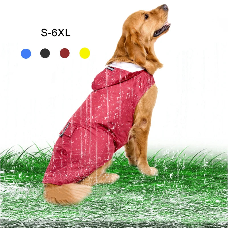 Golden retriever wearing red waterproof dog raincoat with hood, sitting on grass in rain