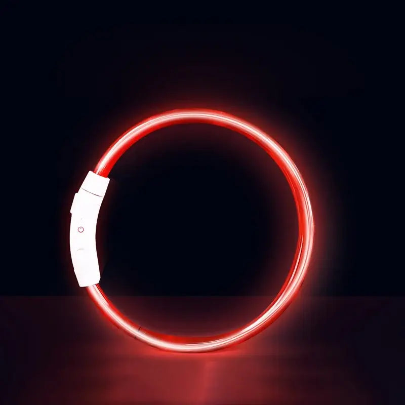 Red LED dog collar, USB rechargeable luminous safety collar for small, medium and large dogs at night