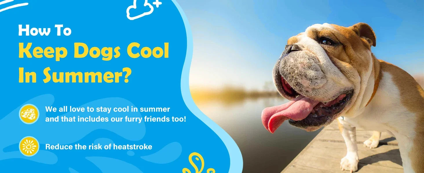 S5643d4da05a94ba19f898c4c455d7e80N - bestdoggylife.shop