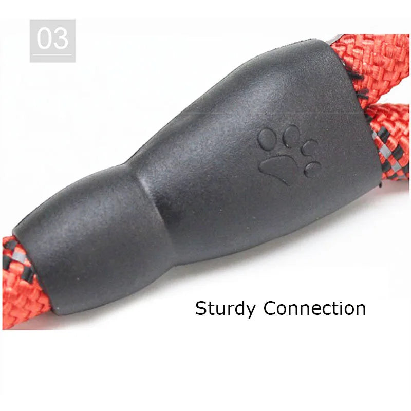 S5698b19fccd84dbf8882dfc63b613c1di - bestdoggylife.shop