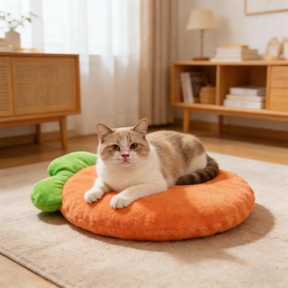 Washable cat bed mat with orange carrot-shaped cushion for small and medium pets, soft warm cat bed