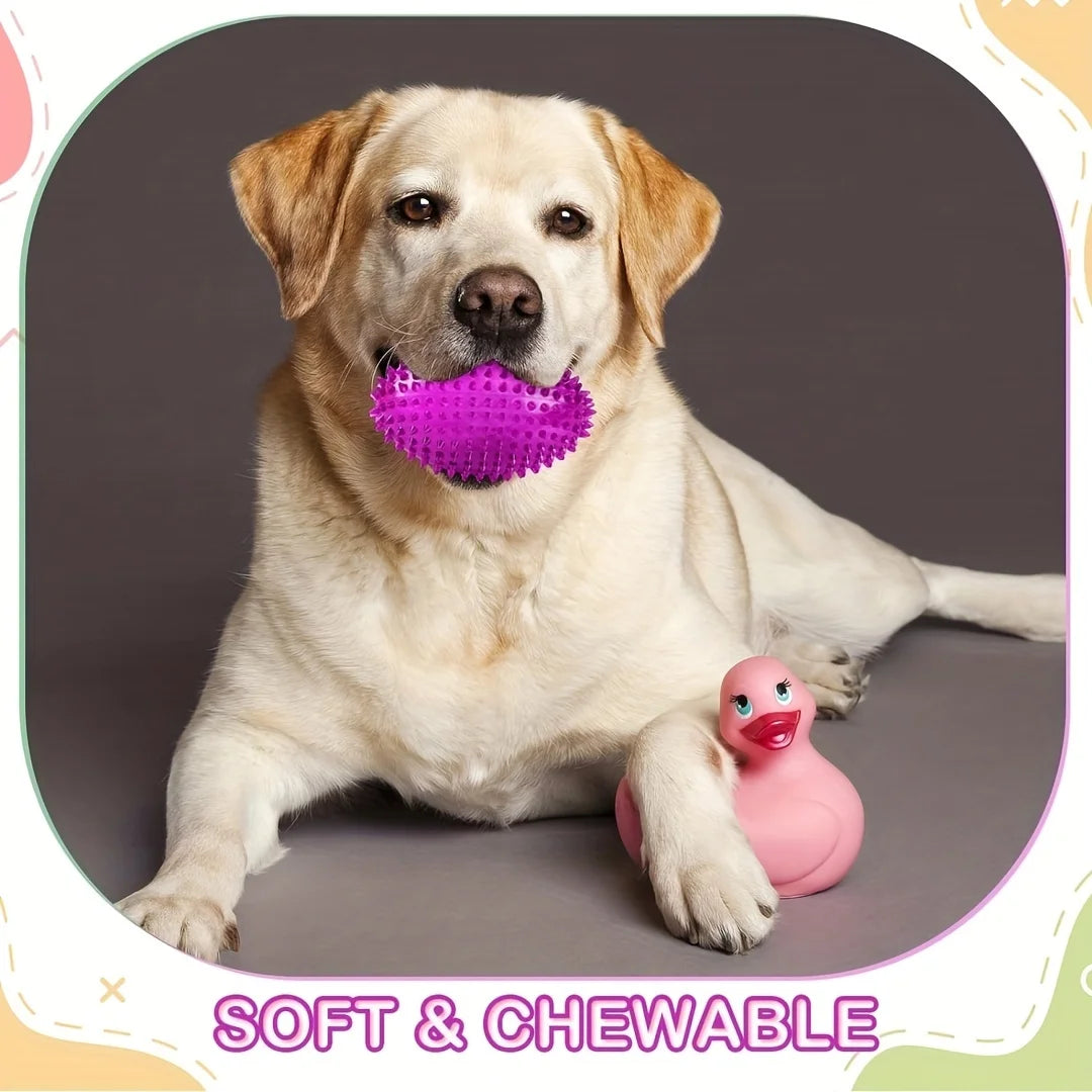 Labrador retriever with a purple spiked chew toy in mouth and a pink duck toy under paw