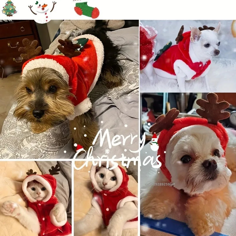 S56fe7b7d0c6e4c7d9e8a138d93bacdbb9_dc93c957-9dc2-4f2b-842d-d906bd3c595e - bestdoggylife.shop