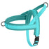 Blue no pull dog harness padded nylon vest adjustable breathable durable for small medium dogs and puppies