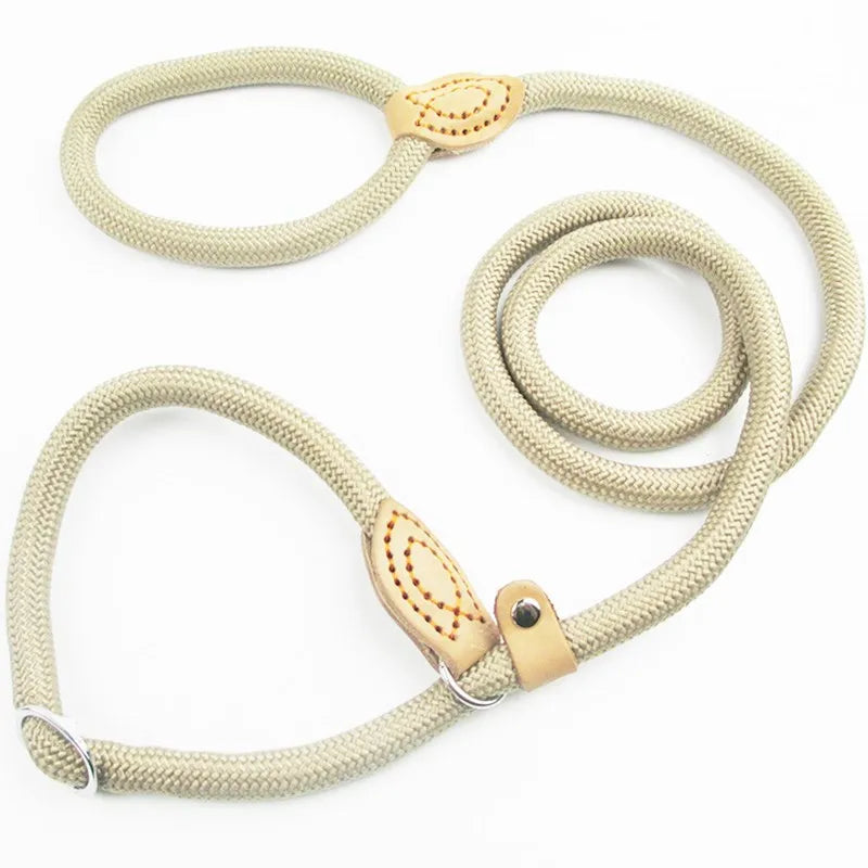 S581bcc38764542b2b376c11e9288cb90F - bestdoggylife.shop