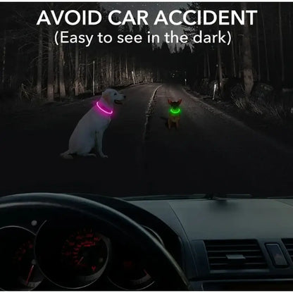 LED dog collar for S/M/L dogs, USB rechargeable luminous collar for night safety and visibility to help prevent accidents
