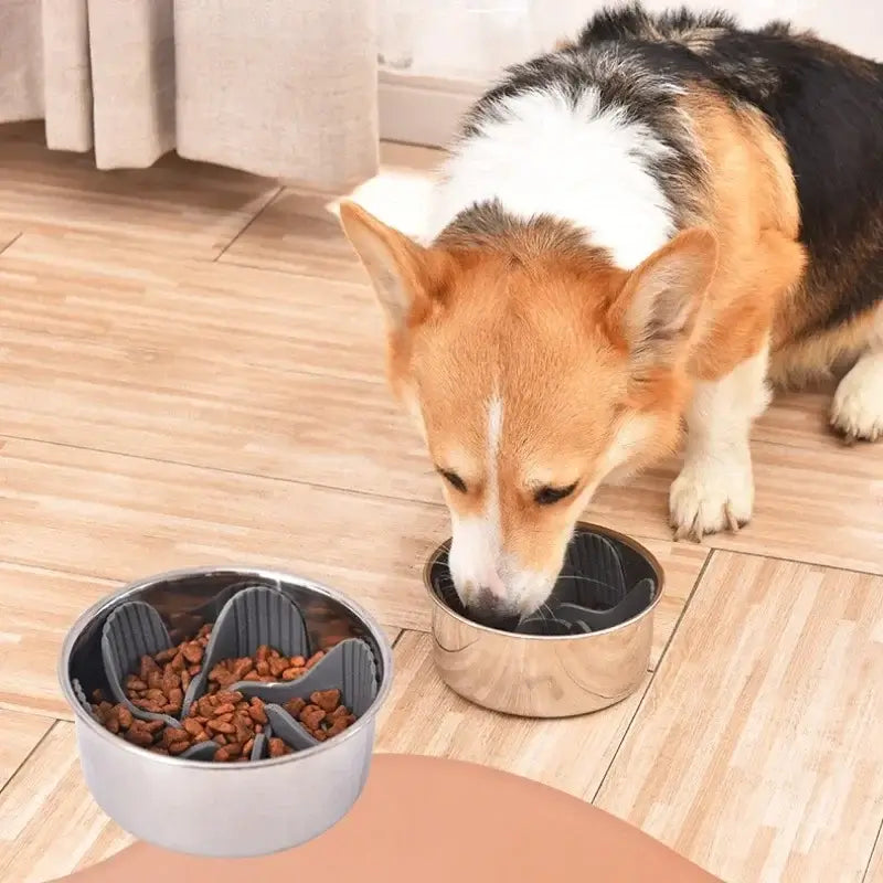 Corgi eating from silicone slow feeder dog bowl insert with suction cups for safe, slow feeding