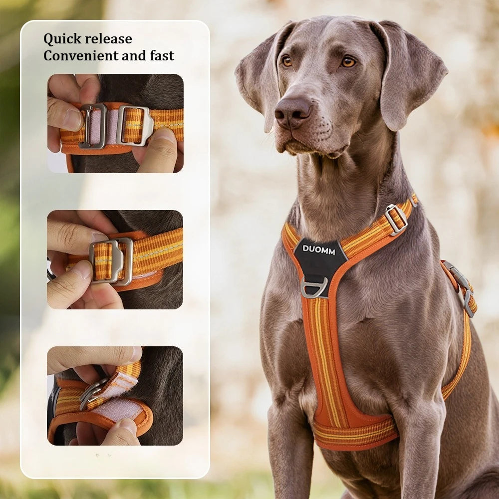 S59725d76ddc6488383365d3c19d1c877L - bestdoggylife.shop