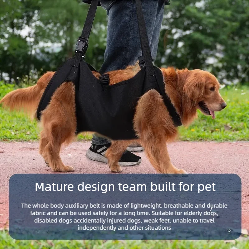 Golden retriever wearing a dog support lift harness outdoors, assisted by a person.