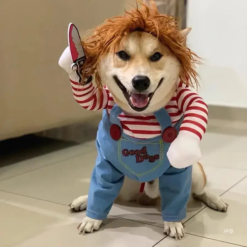 Shiba Inu in funny doll costume with wig, striped shirt, blue overalls, and plush knife