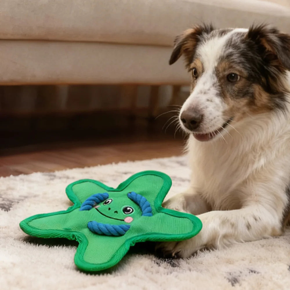 Dog with green starfish plush dog toy on living room rug