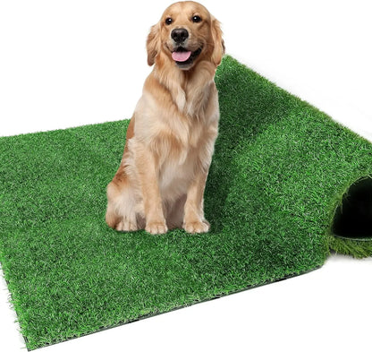 S5a632a3c793243dcba8db2dd2acc4e53a - bestdoggylife.shop
