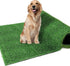S5a632a3c793243dcba8db2dd2acc4e53a - bestdoggylife.shop