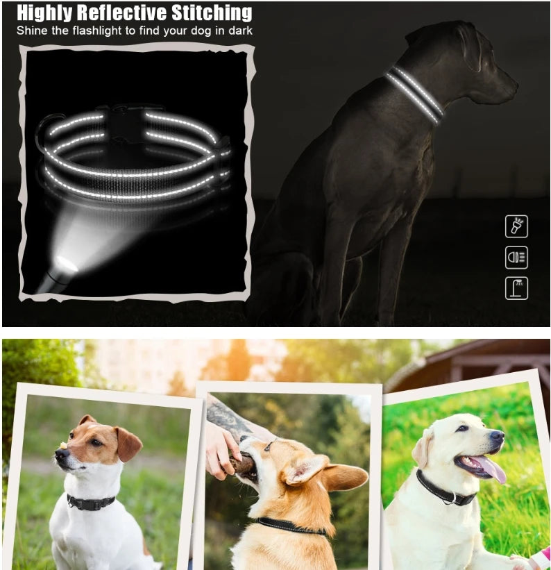 S5a8d536e1a7b4e7ca2e838f25ba32de41 - bestdoggylife.shop