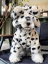 S5b1b67b738c341b9a5da70850479992bg - bestdoggylife.shop