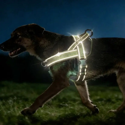 no-pull dog harness for large dogs reflective adjustable padded heavy-duty vest on large dog at night