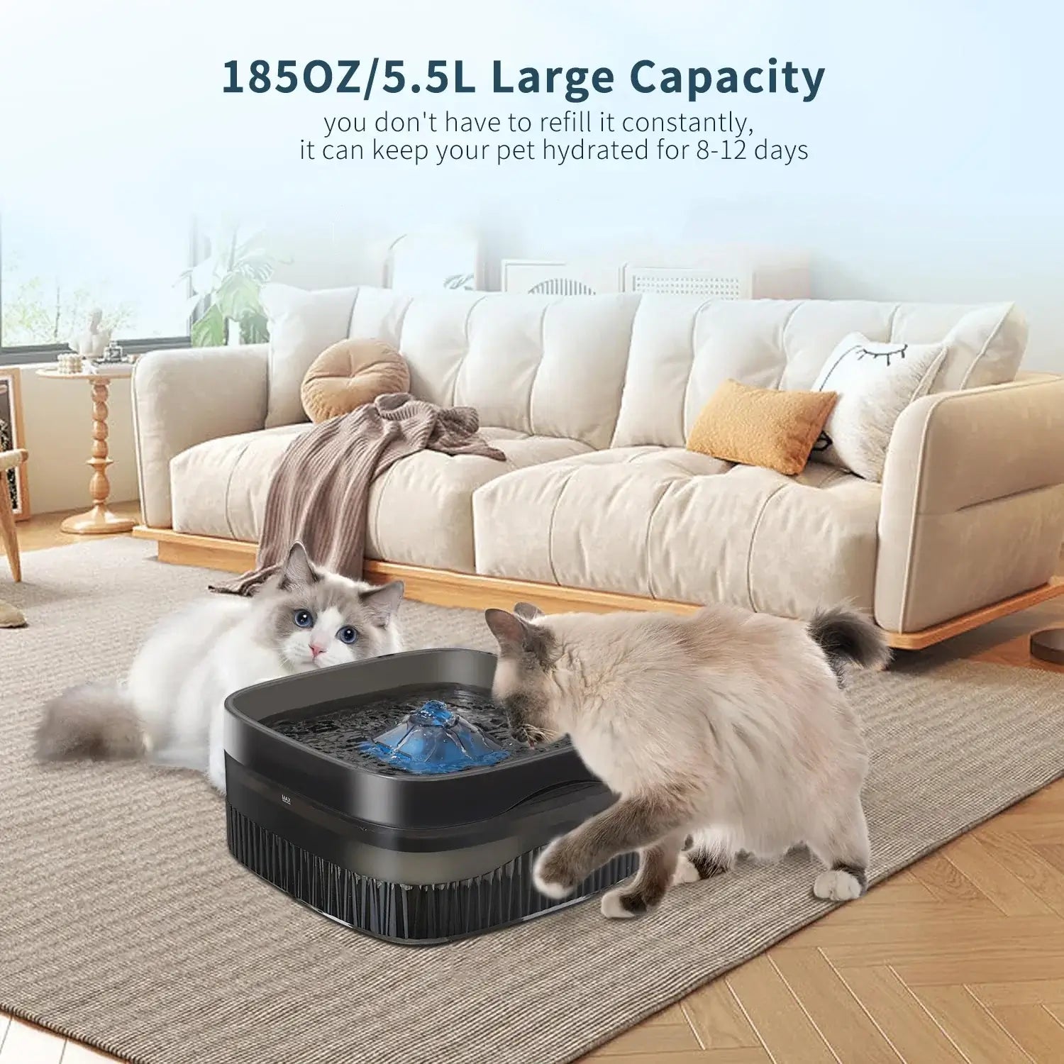 large capacity pet water fountain 5.5L dog and cat drinking dispenser with ultra-quiet pump