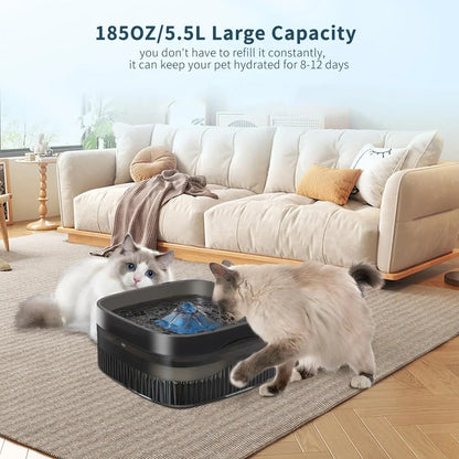 large capacity pet water fountain 5.5L dog and cat drinking dispenser with ultra-quiet pump