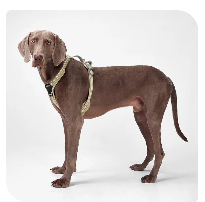 S5ccc75bdf3c1442f843fbd26116949c7x - bestdoggylife.shop
