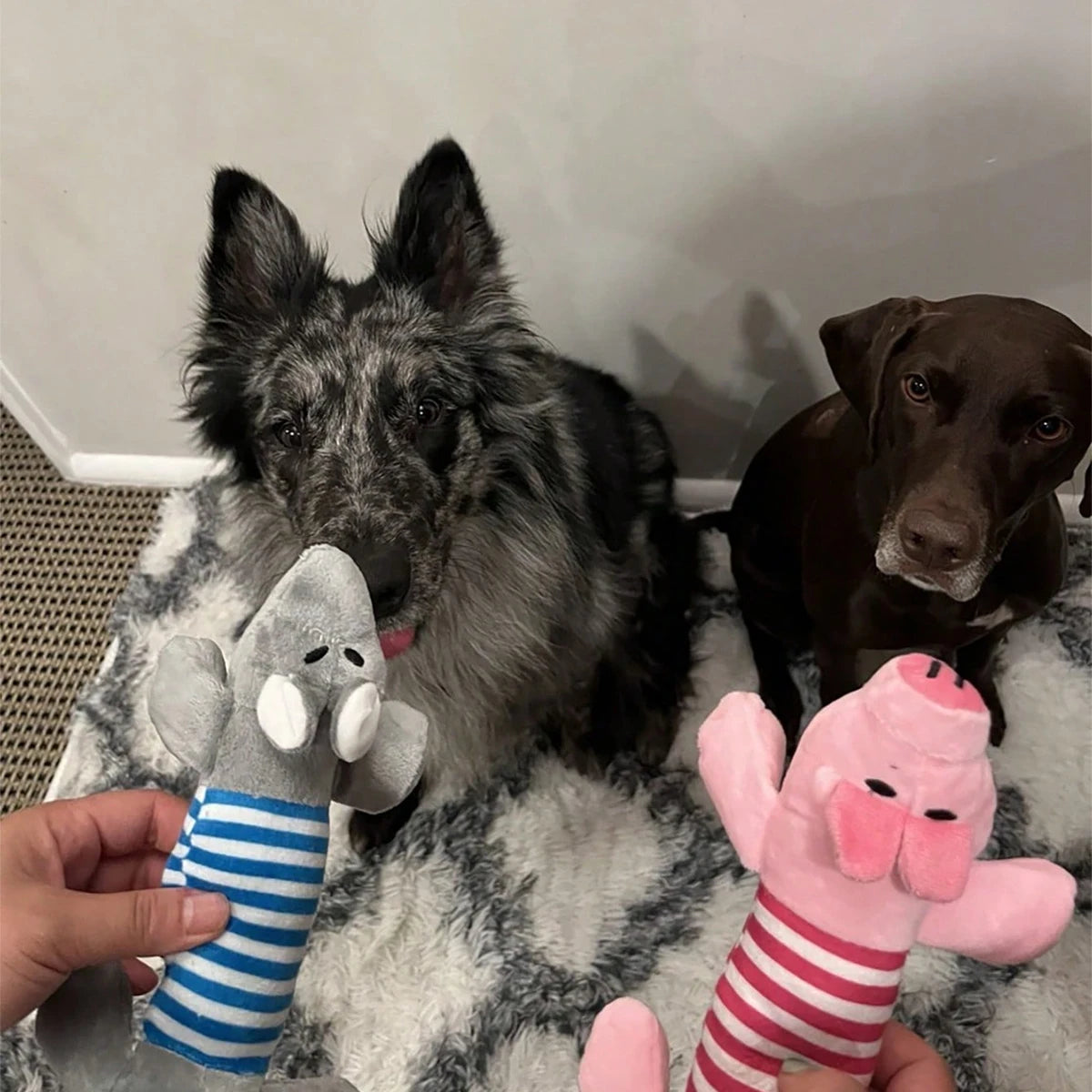 durable squeaky dog chew toys for aggressive chewers, elephant duck pig fleece toys for teeth cleaning