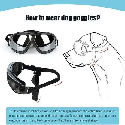 S5d53482e780d477c85db65d58f176590W_5c99b6df-e496-4189-a0e1-370491a702f2 - bestdoggylife.shop