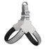 Reflective grey dog harness with padded chest and adjustable buckle, pet accessory