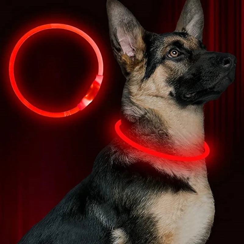 Led Usb Dog Collar Pet Dog Night Luminous Charge Collar Pet Dog with bright red glow for nighttime visibility.