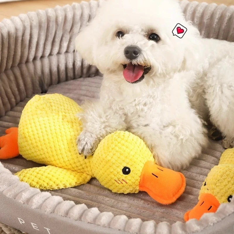 S5eefb4dfdbdc452b8081a46f02717882g - bestdoggylife.shop