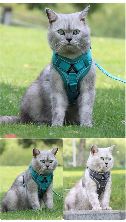 reflective cat harness and leash set for cats, breathable padded vest harness with leash, teal pet accessory
