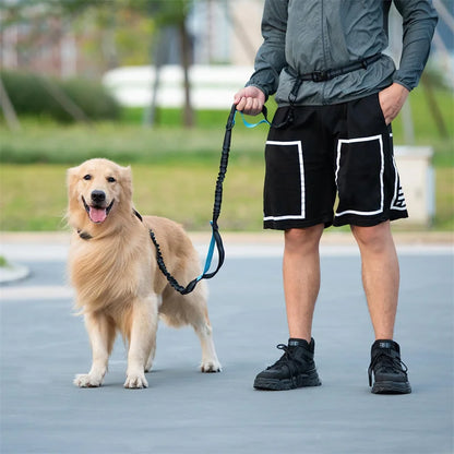 S603331d822034c88aec013b3114a2c05C - bestdoggylife.shop