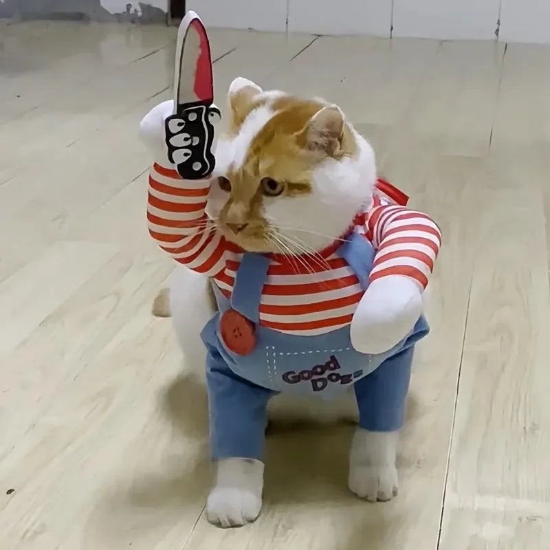 Cat in red striped Halloween costume with fake knife and blue overalls on wooden floor