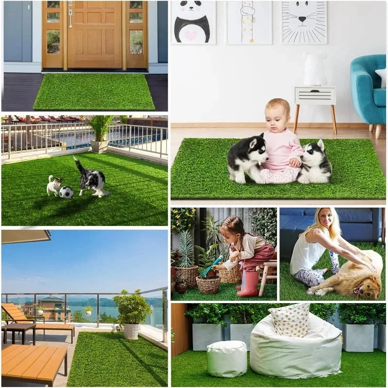 S608bf633172744dd9e09fbf8f953f08aO - bestdoggylife.shop